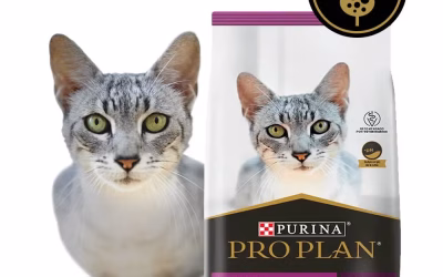 Pro Plan Gatos Urinary