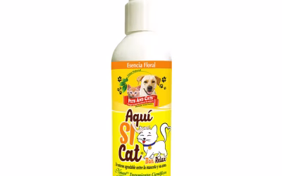 Natural Freshly Aquí Sí Cat