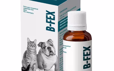 B-Fex Suspensión Oral 60 ml
