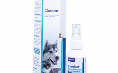 Clordent 120 ml