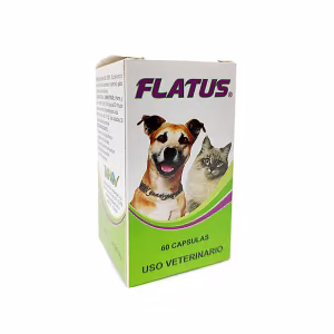 flatus