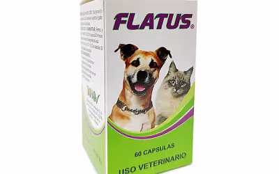Flatus Cápsulas