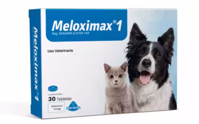 Meloximax